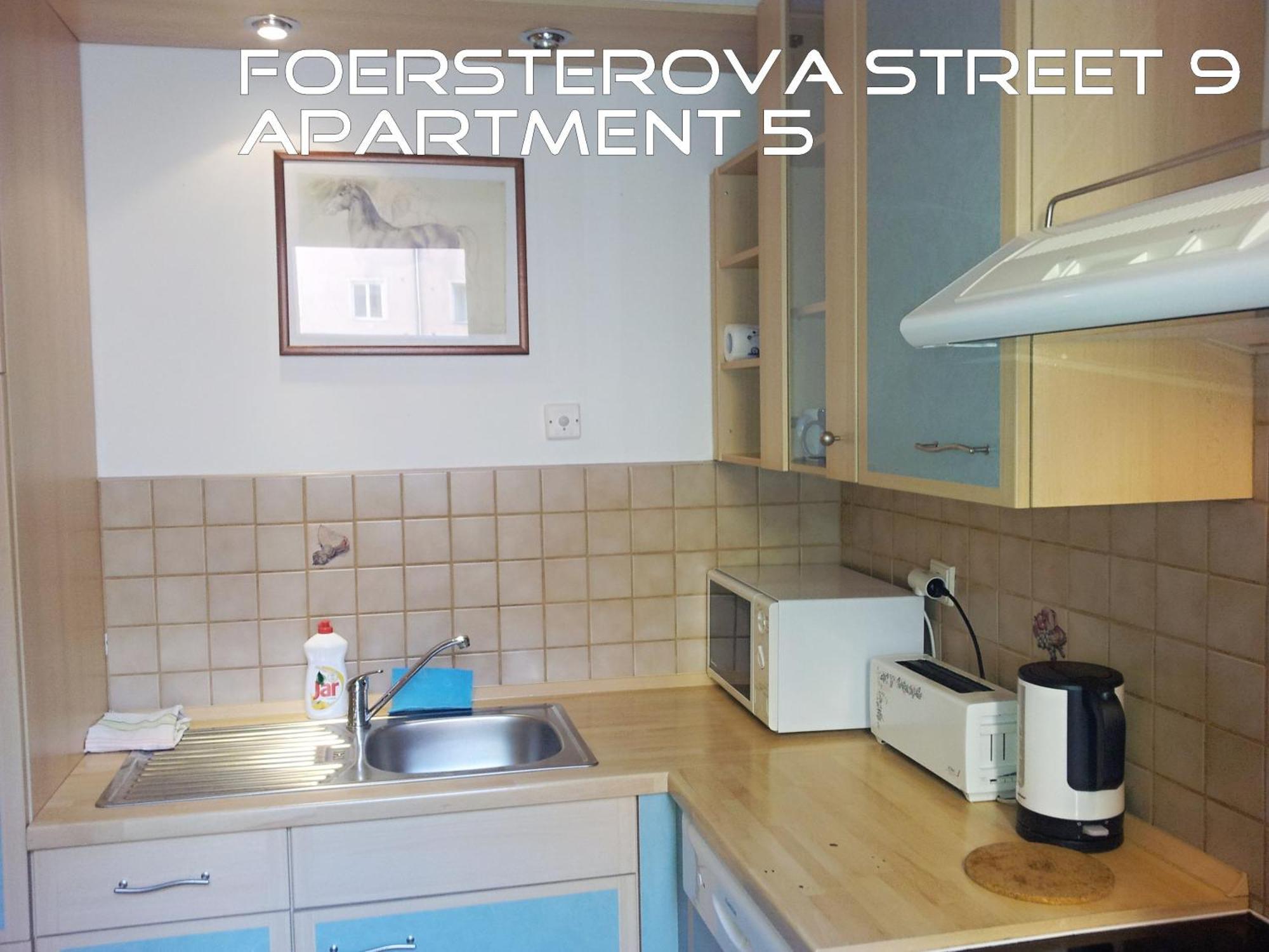 Holiday Apartments Карлові Вари Екстер'єр фото
