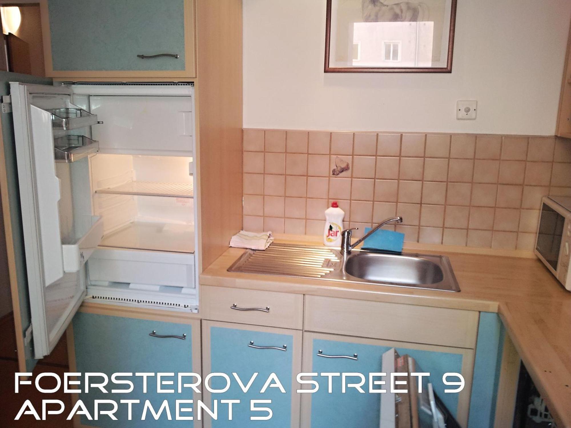 Holiday Apartments Карлові Вари Екстер'єр фото